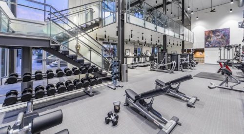 MILENDER WHITE GYM PICS